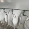 20' Flexi Pod-Loo Cabin Toilet - Image 4